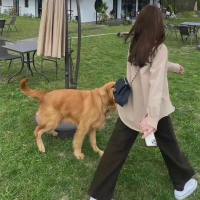 蚁人